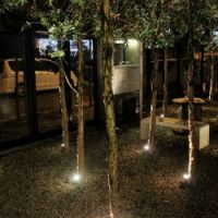 Copy-of-36-opt-nggid0271-ngg0dyn-250x250x100-00f0w010c011r110f110r010t010