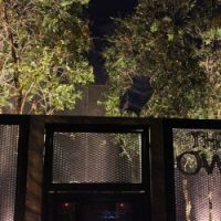 IMG_8673-opt-nggid0269-ngg0dyn-250x250x100-00f0w010c011r110f110r010t010