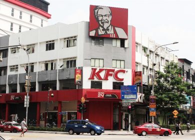 IMG_8901-opt IMG_8901-opt