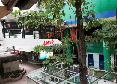 IMG_8952-opt IMG_8952-opt