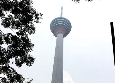 IMG_8994-opt IMG_8994-opt