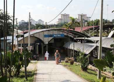 IMG_9013-opt IMG_9013-opt