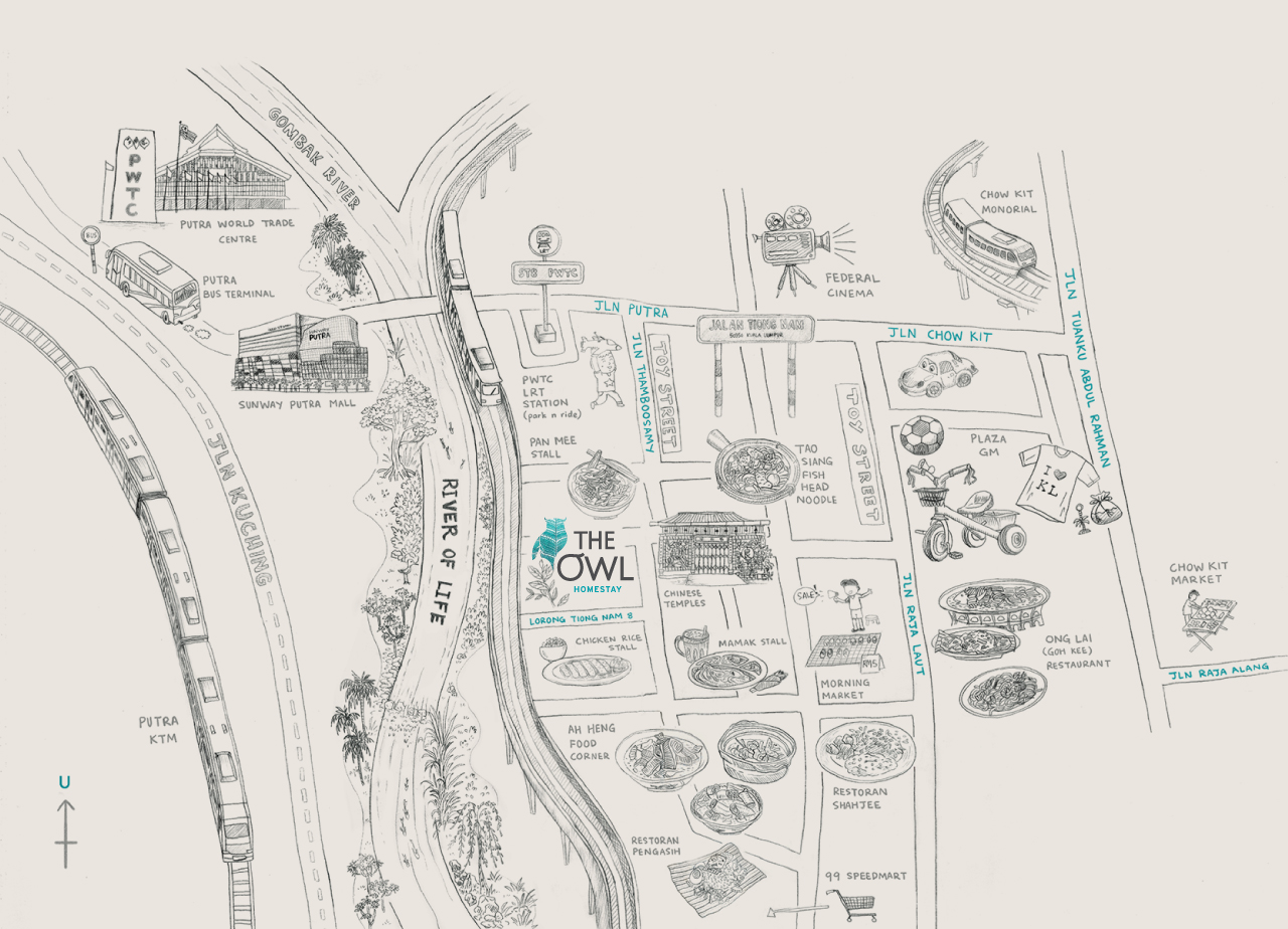 The-Owl-Website_Surrounding_for-web